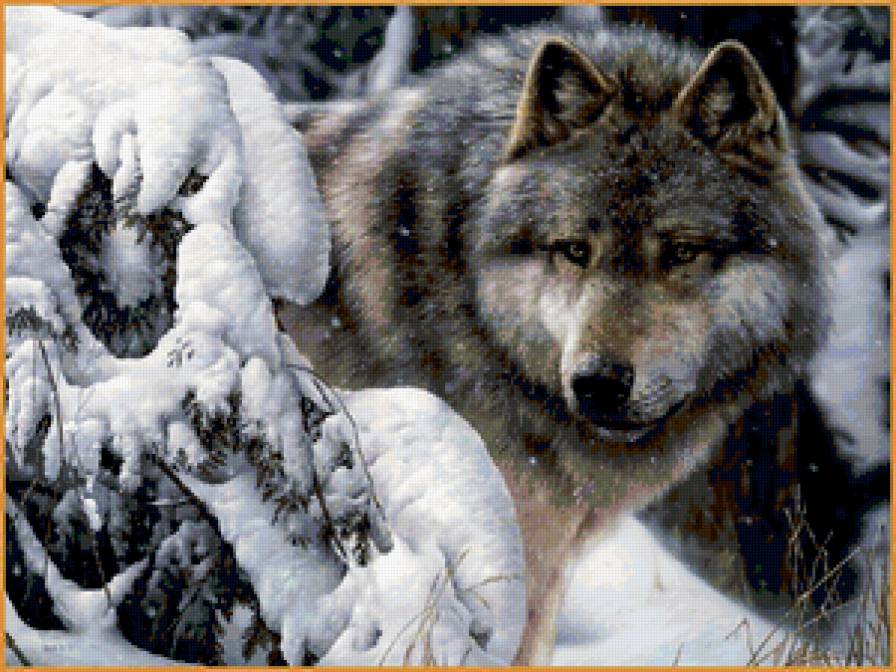 волк - зима, лес, волк, снег - предпросмотр