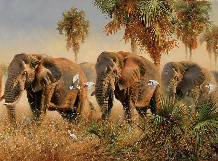 Семейка слонов - слоны, животные - оригинал