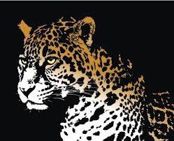 леопард на черном - коты, на черном, дикие кошки, животные - оригинал