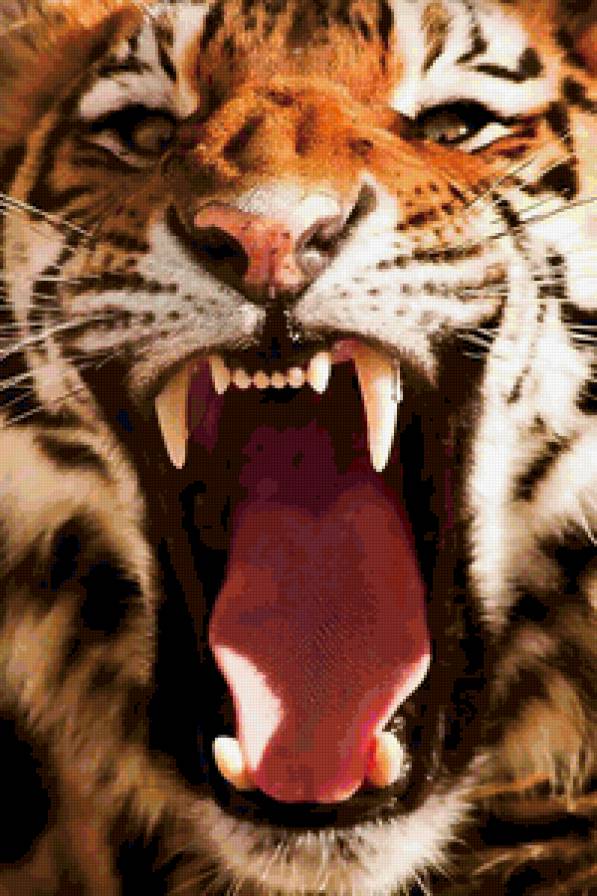 Тигра - хищник, тигр - предпросмотр