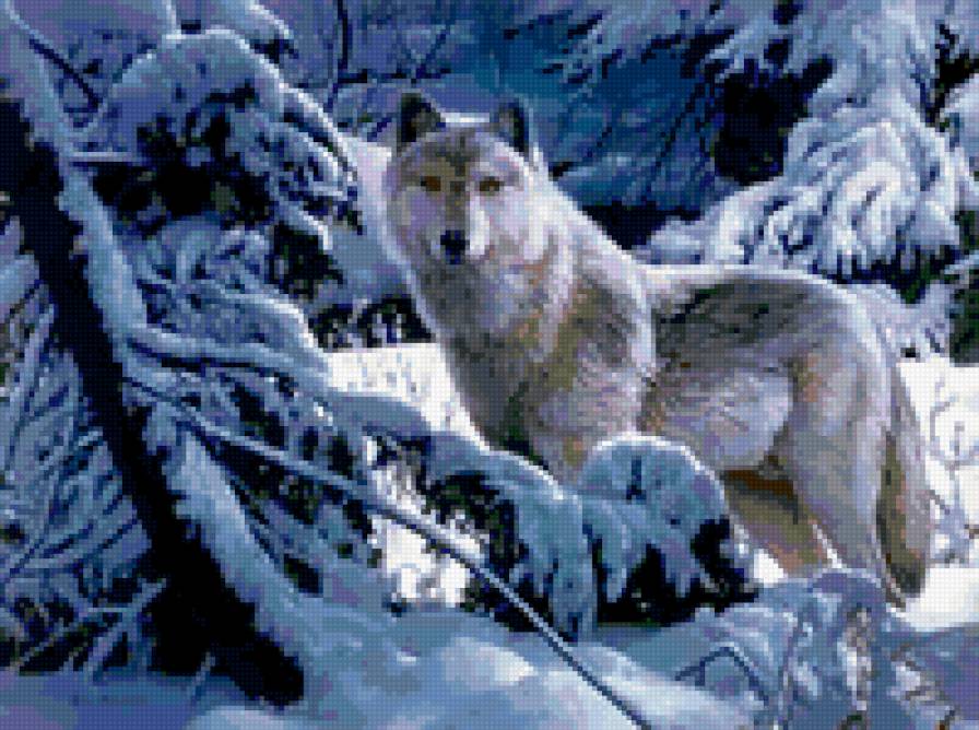 волк в лесу - волк, природа, зима - предпросмотр