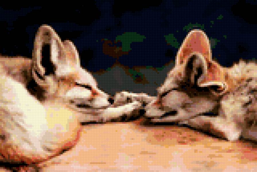 Спящие лисы - любовь, лисы, животные, нежность, пары - предпросмотр