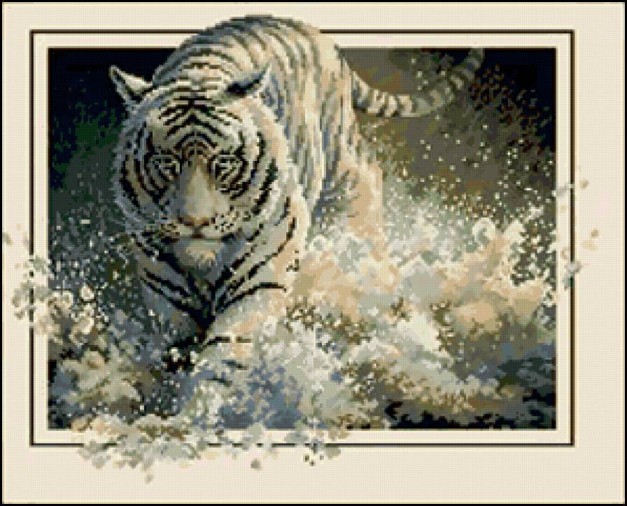 белый тигр - природа, тигр, озеро, животные - предпросмотр