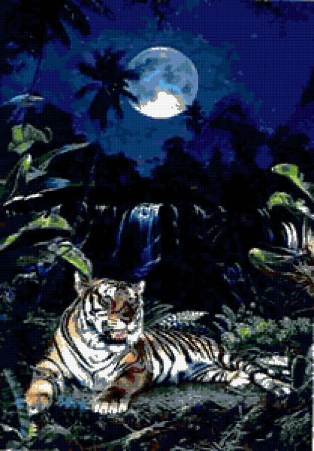 тигр в ночи - природа, тигр, ночь, животные, водопад - предпросмотр