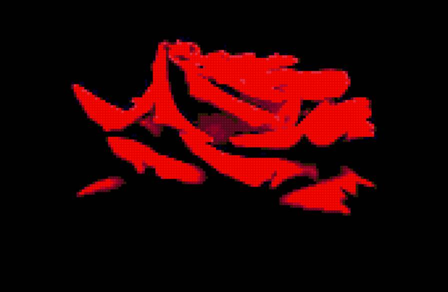 красная роза - красная роза - предпросмотр