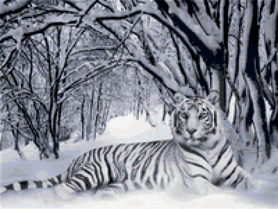 белый тигр - предпросмотр