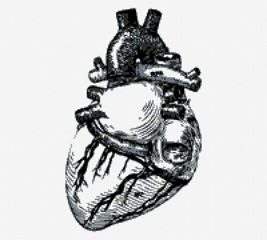 сердце - предпросмотр