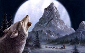 Одинокий волк - волки, природа, животные - оригинал