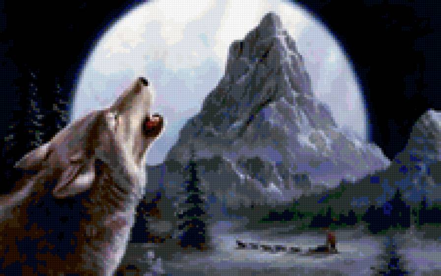 Одинокий волк - волки, животные, природа - предпросмотр