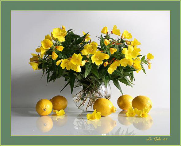 №425927 - фрукты, цветы, букет, натюрморт - оригинал