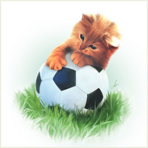 Котенок-футболист - кошки, животные - оригинал