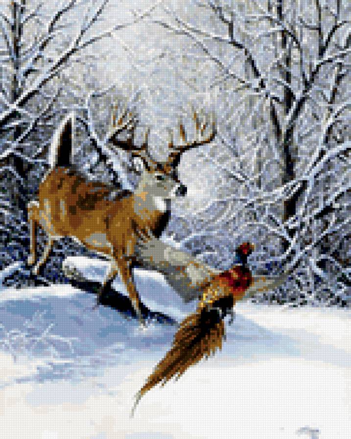 0136 - природа, животные, зима, птицы, картина, красота, олень - предпросмотр