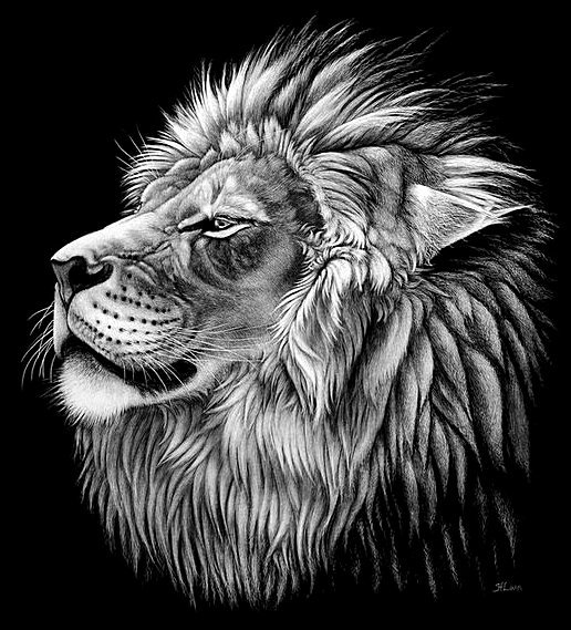 Царь зверей - лев, животные - оригинал