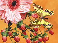 №426717 - цветы и бабочки - оригинал