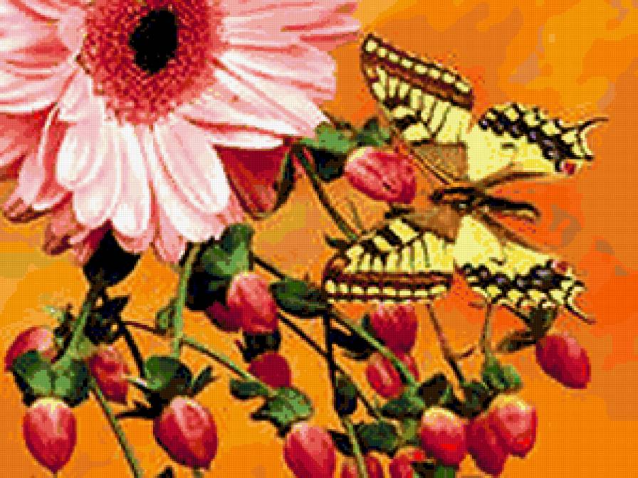 №426717 - цветы и бабочки - предпросмотр