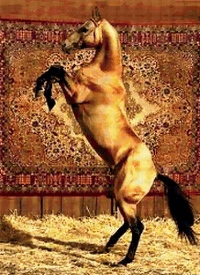 красивые лошади (подборка),ахалтекинский жеребец - лошадь, красавец, животные, восток, порода, конь - предпросмотр