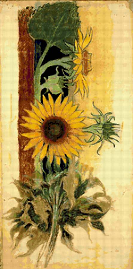 słonecznik 2 - malarstwo, s.wyspiański, kwiaty - предпросмотр