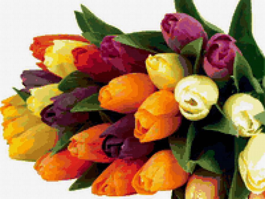 тюльпаны - радуга, тюльпаны, цветы, природа - предпросмотр