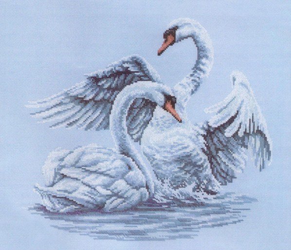 лебеди - лебеди, любовь, птицы - оригинал