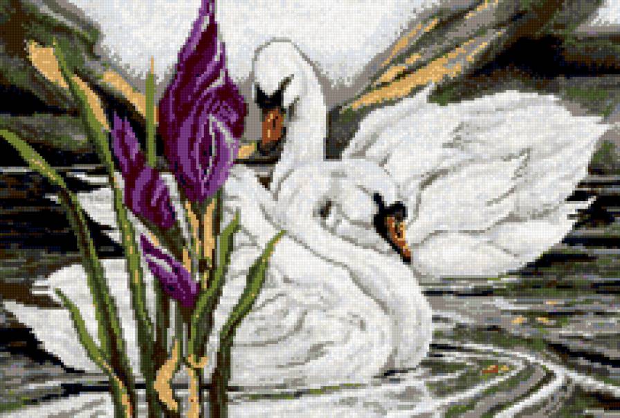 идеальная пара - верность, лебеди, озеро, любовь, птицы, цветы - предпросмотр