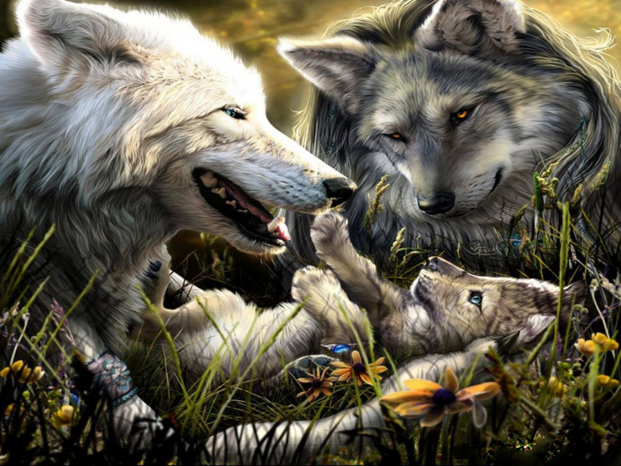 семья волков - волки, животные - оригинал