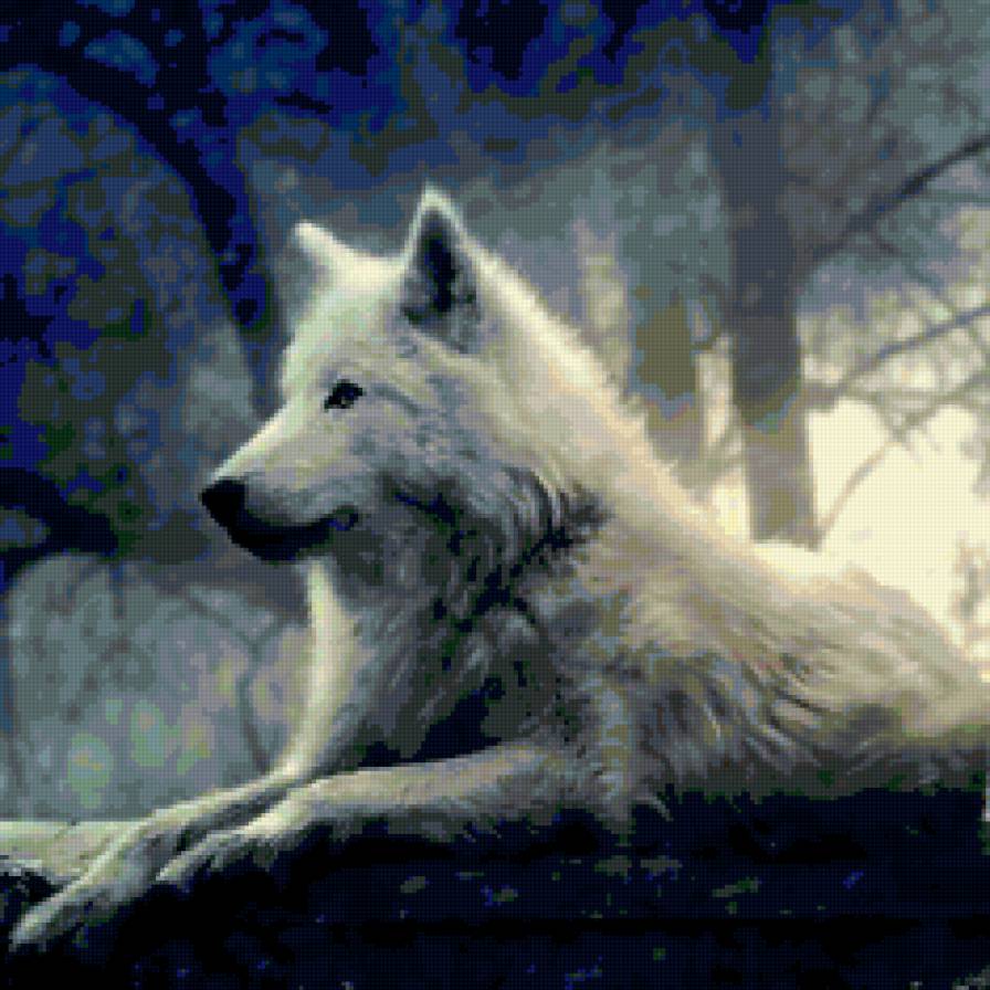 Белый волк - белый волк лес - предпросмотр