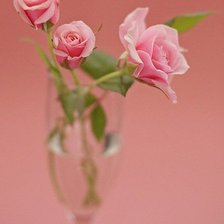 Оригинал схемы вышивки «розы» (№428198)