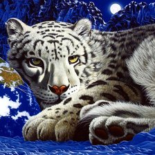 белый леопард