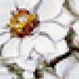 Предпросмотр схемы вышивки «букет цветов» (№428794)