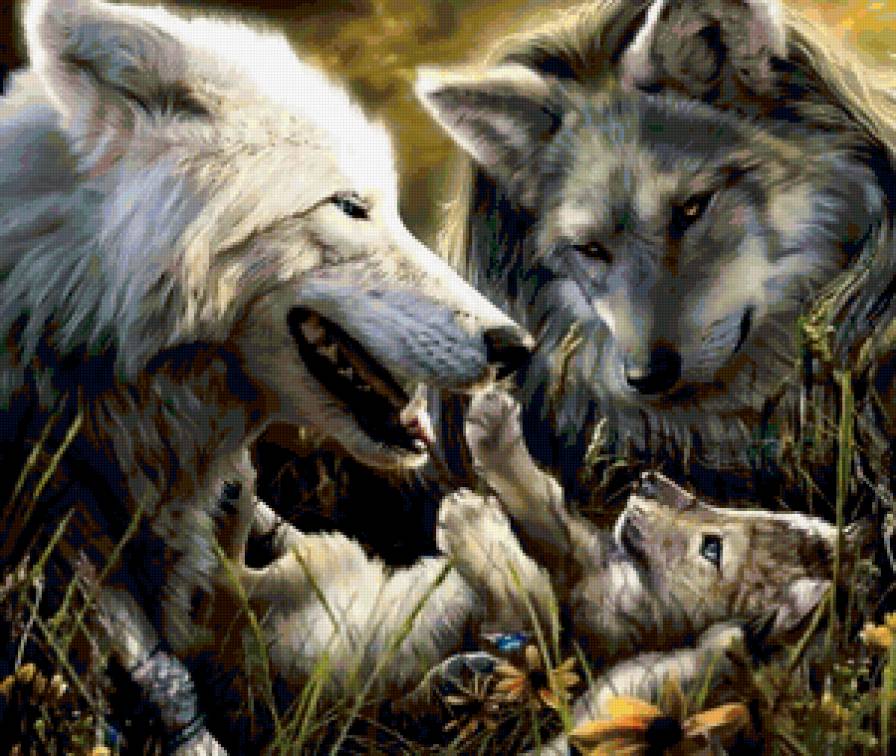 Волки - волк, природа, животные - предпросмотр