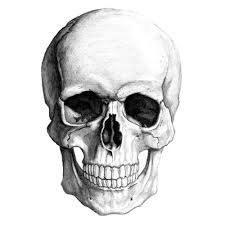 skull 1 - череп, готика, смерть - оригинал