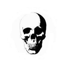 Оригинал схемы вышивки «skull 2» (№429331)
