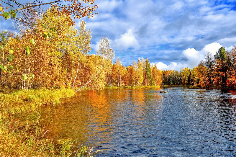 осень - пейзаж, речка, дерево, осень, камень, природа - оригинал