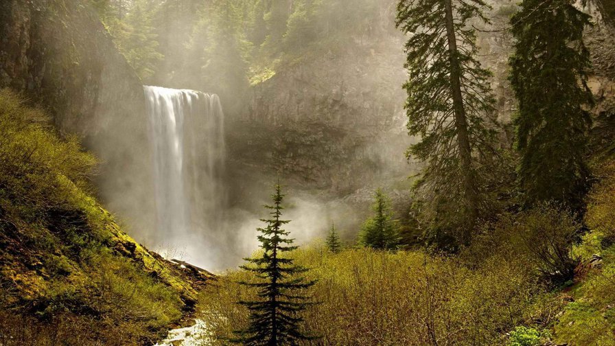 водопад - природа, водопад, вода, дерево - оригинал