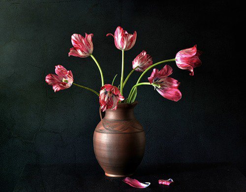 №429740 - цветы, букет, натюрморт, тюльпаны, natali-c - оригинал