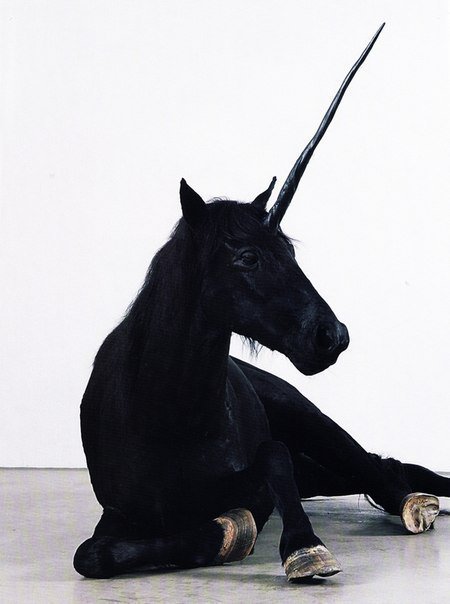 Черный Единорог - единорог, мифические животные - оригинал