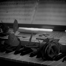Роза на рояле