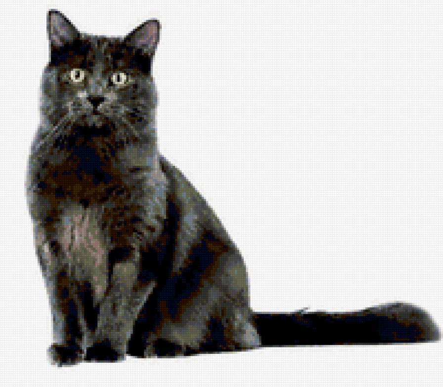 мяуси - кошки - предпросмотр