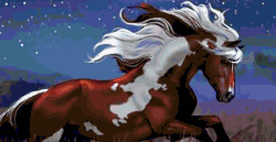 красивые лошади (подборка) - животные, лошадь, красочно, звезды, конь, небо, год лошади - предпросмотр