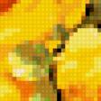 Предпросмотр схемы вышивки «Желтые розы» (№430585)