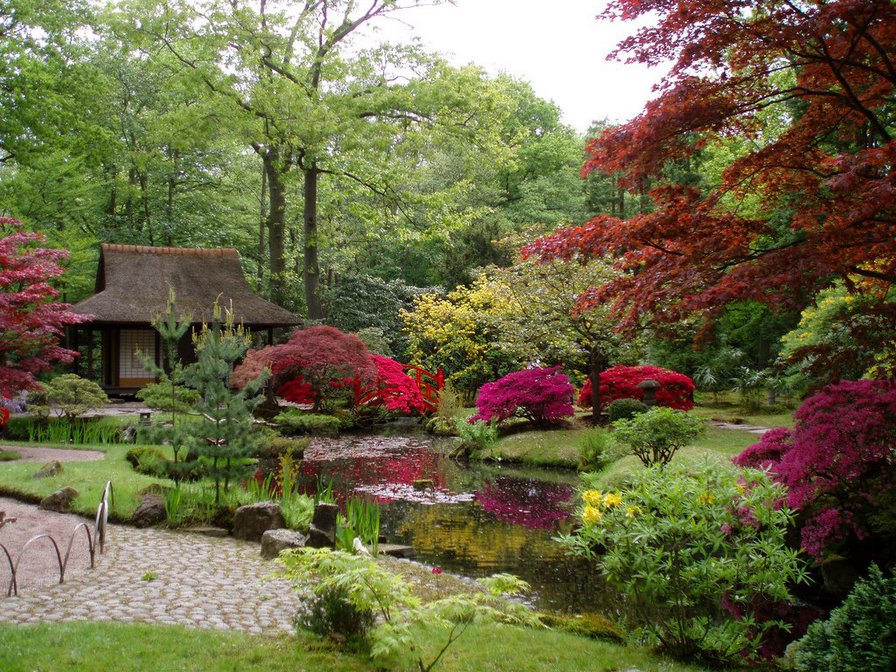 Японский сад - пейзаж, сады, райский сад, природа - оригинал