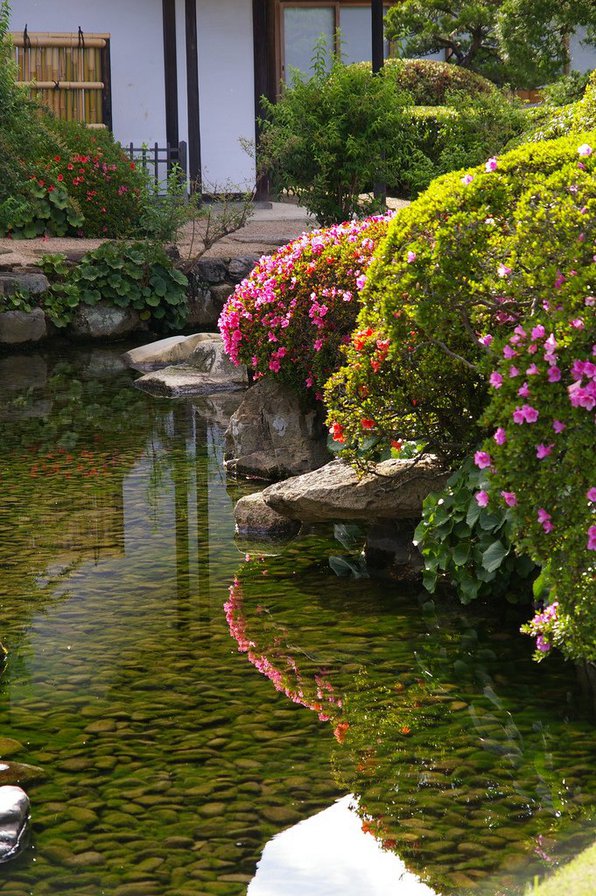 Прудик в саду - прудик, сад.пейзаж. природа, японский сад - оригинал
