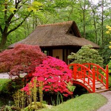 Японский сад в Голландии