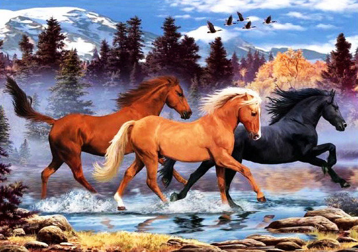 скачка лошадей - лошади, кони, животные, природа - оригинал