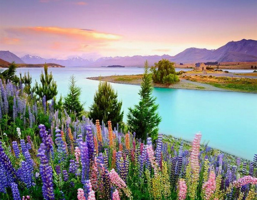 дивное озеро - природа, пейзаж, закат, озеро, цветы - оригинал