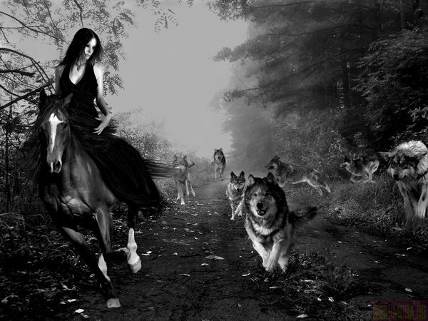 Девушка с волками - волки, девушка, стая, лес, лошадь - оригинал