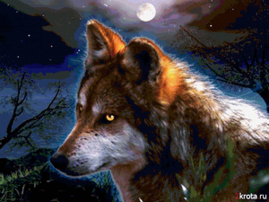 Волк - ночь, охота, волк - предпросмотр