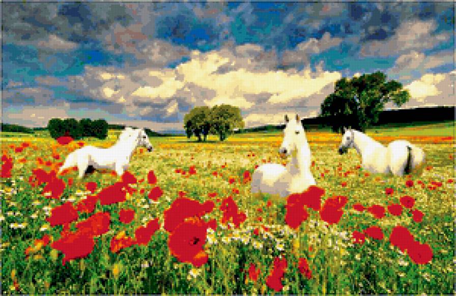 белые кони - лошади, на выпасе, природа, кони - предпросмотр