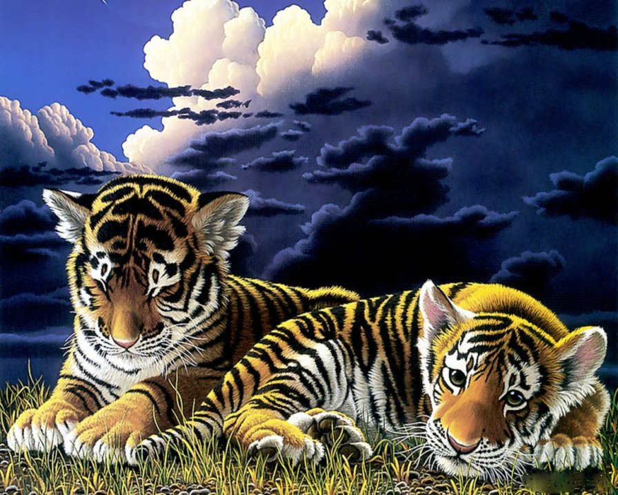 тигрята - животные, звери, тигры - оригинал