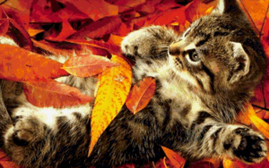котенок - листва, котенок, кошка, осень, листья, кот - предпросмотр